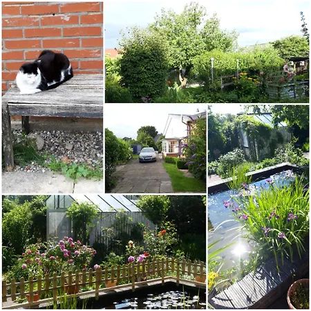 Altes * Behrendorf