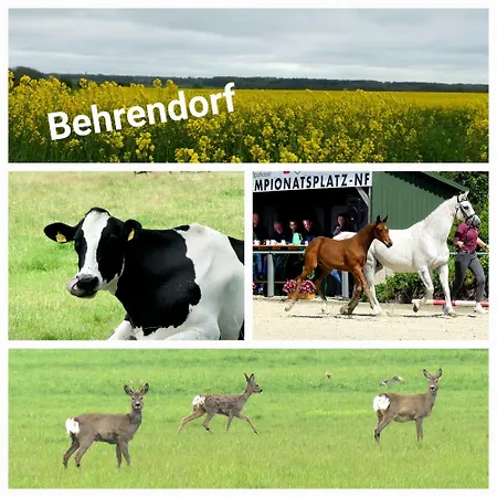Vendégház Altes Behrendorf