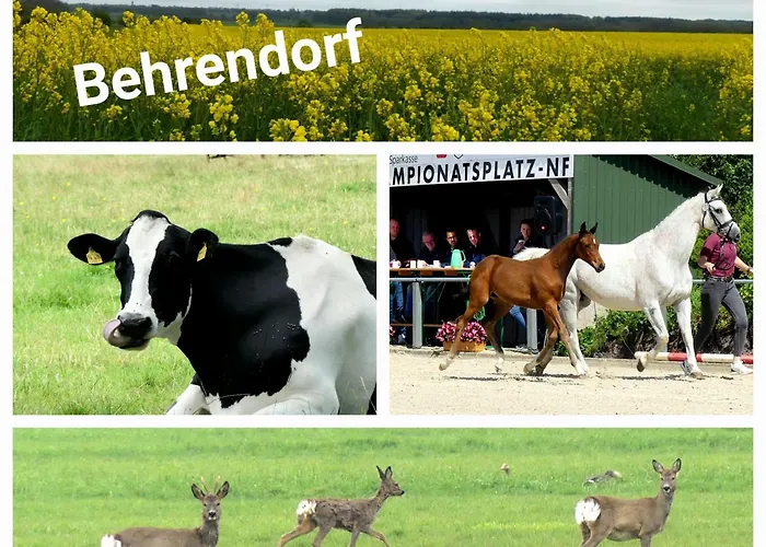 בית הארחה Altes Behrendorf