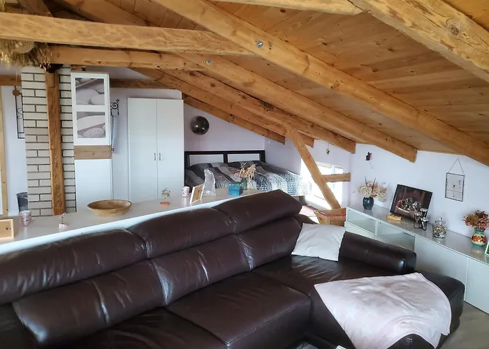 Altes בית הארחה 3*