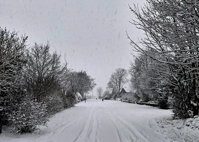 Altes בית הארחה Behrendorf