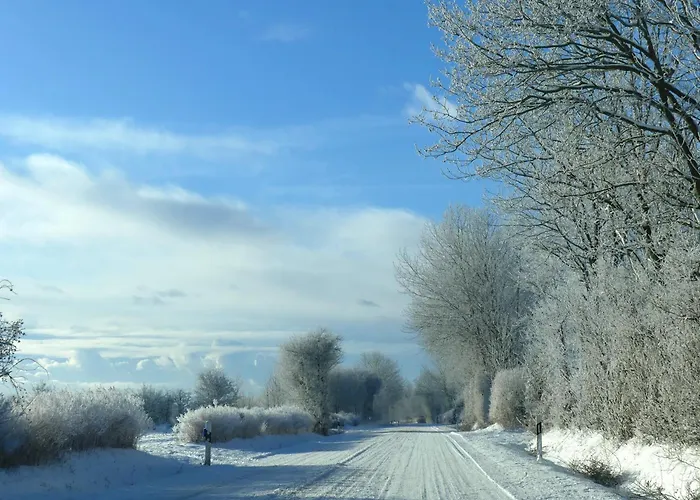 Altes בית הארחה Behrendorf